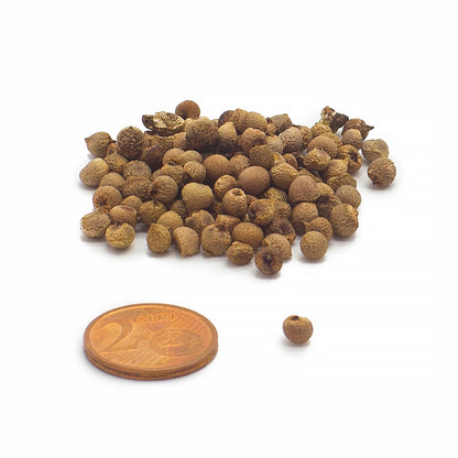 Arum italicum - gigaro chiaro (15 semi)