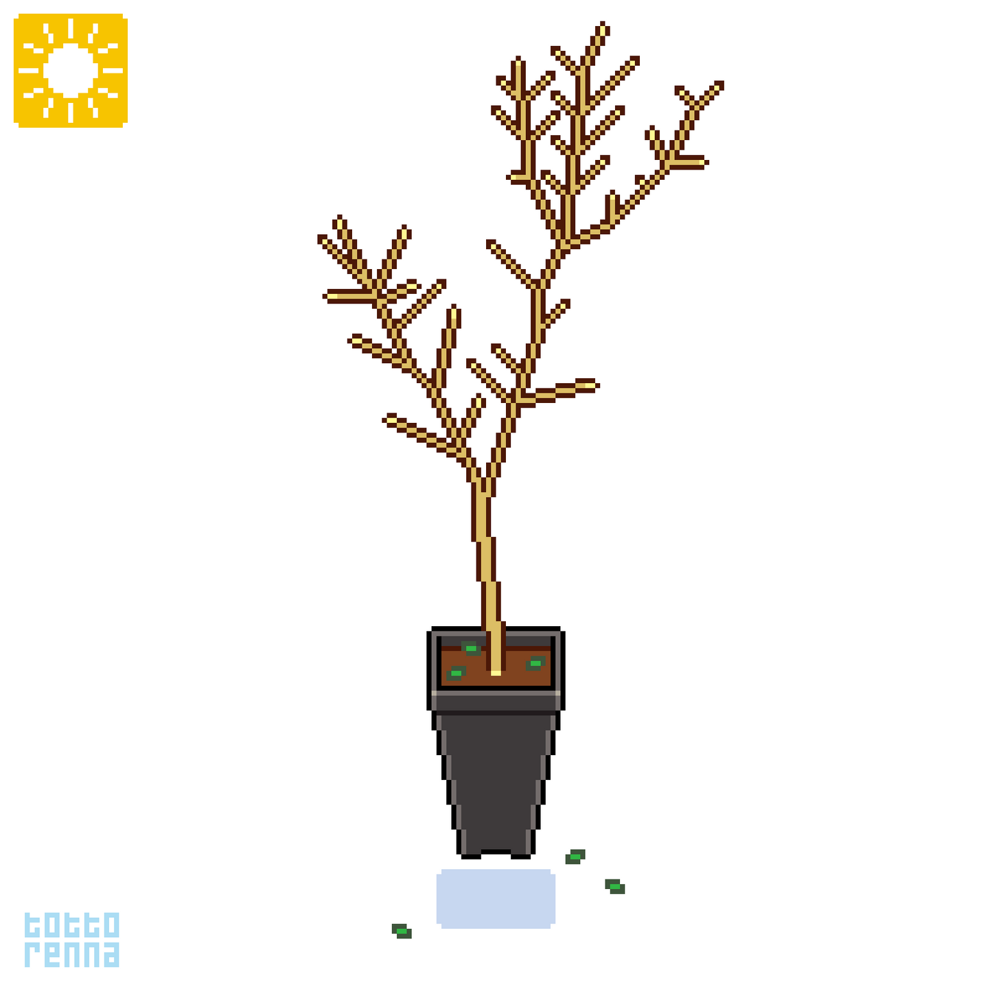 Aesculus pavia - ippocastano rosso (Vaso quadro 9x9x20 cm)