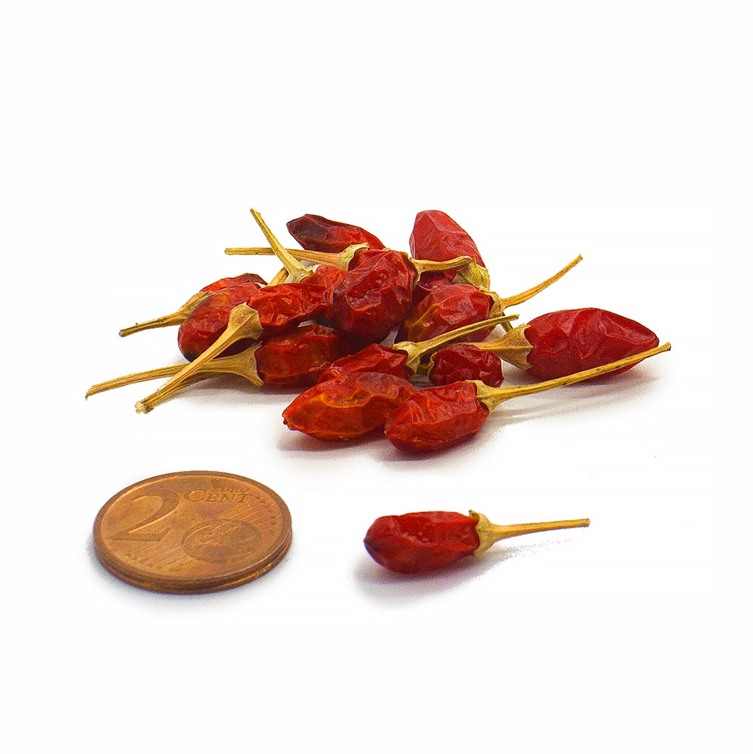 Capsicum annuum var. glabriusculum - peperoncino pequin - 3 frutti