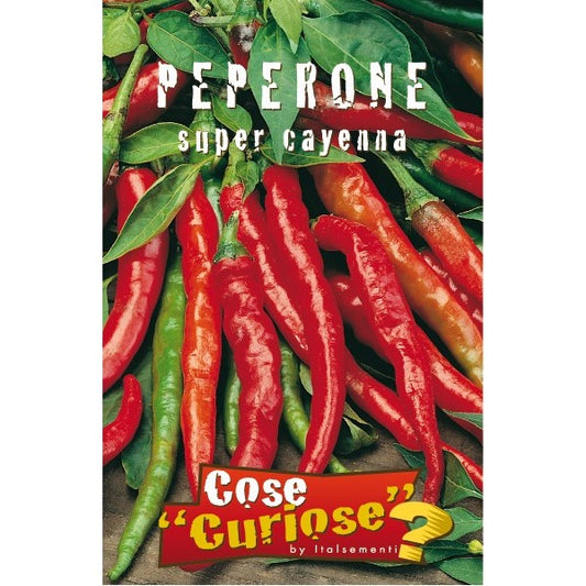 Capsicum annum CV Cayenne long silm - cayenna (1 confezione di semi)