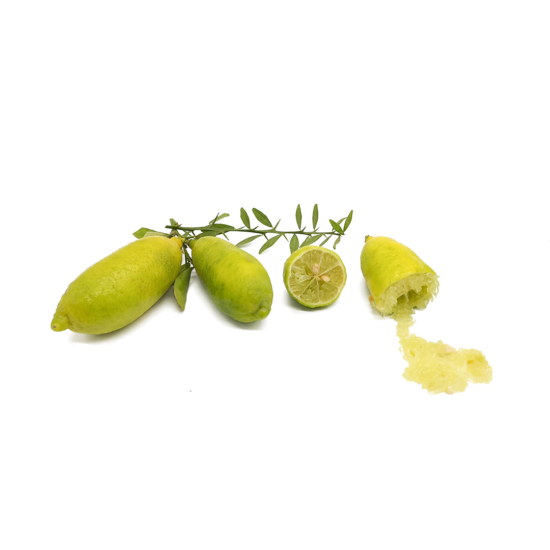 Citrus australasica cv "white pulp" - caviale di limone (3 frutti)