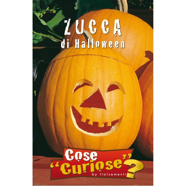 Cucurbita maxima duchesne - zucca di Halloween (1 confezione di semi)
