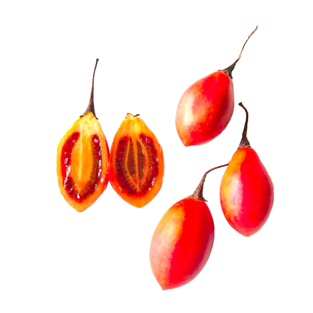 Cyphomandra (syn. Solanum) betacea - Tamarillo, Tomato tree - Seeds 0.1gr