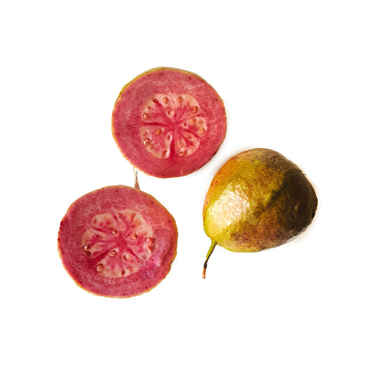 10x Psidium guajava cv. pink fruit - guajava (Offer 10 Forest Alveoli)