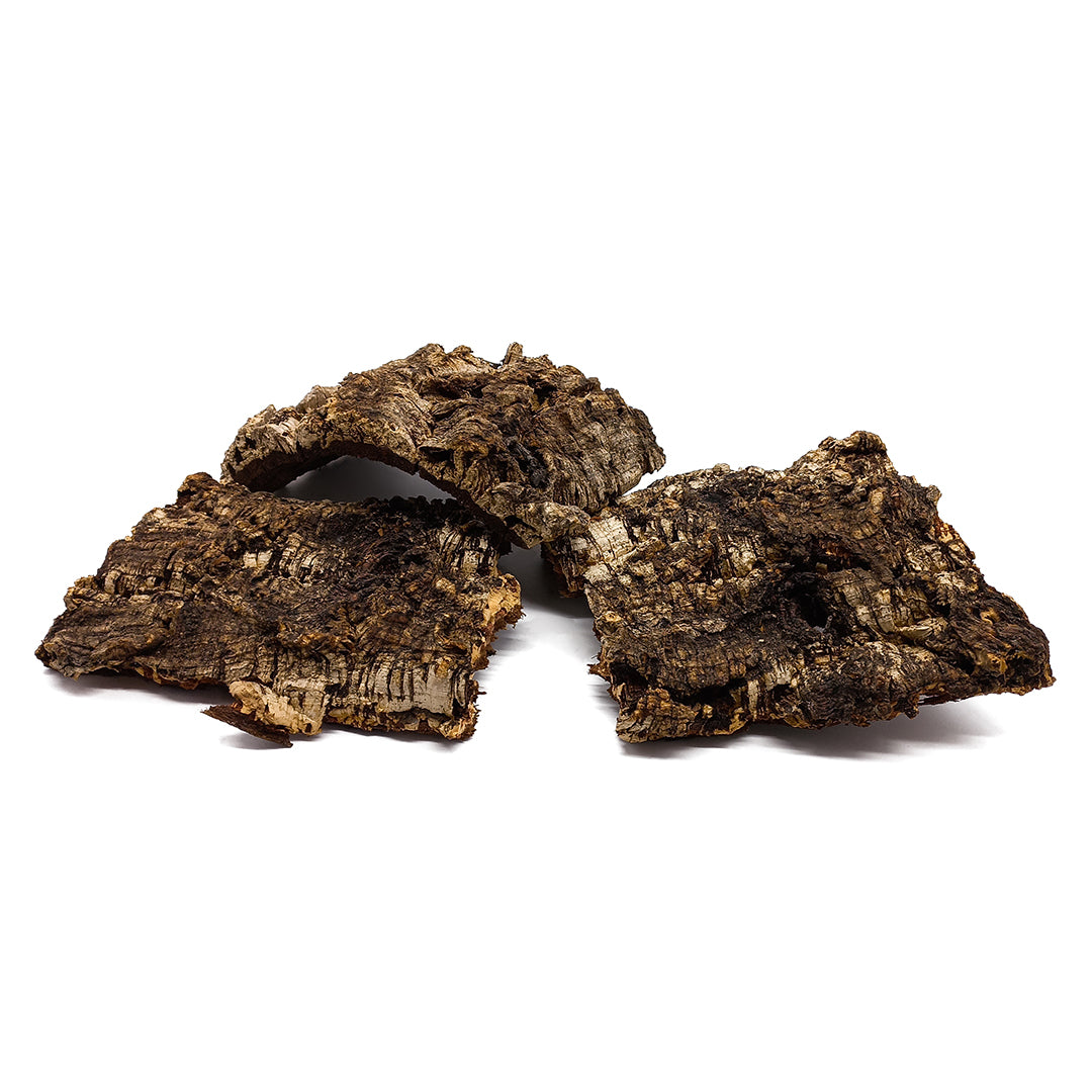 Quercus suber BARK - male cork (4 pieces of bark)