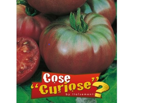 Solanum lycopersicum cv. "nero" - pomodoro nero (1 confezione di semi)