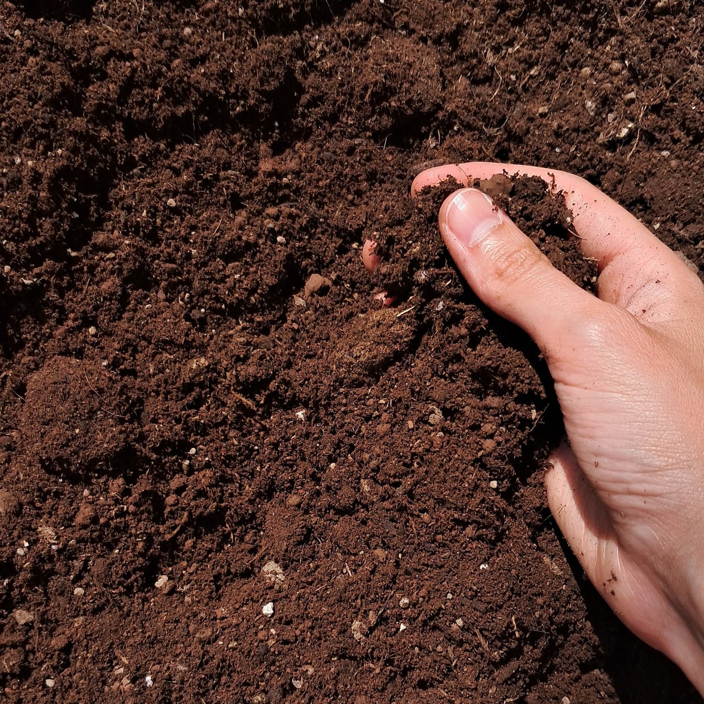 Terriccio pesante TORBA E POZZOLANA concimato (10 Litri)