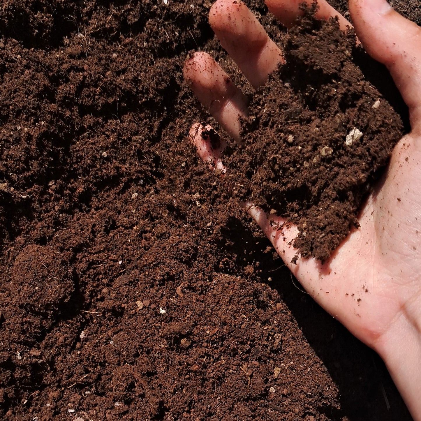 Terriccio pesante TORBA E POZZOLANA concimato (10 Litri)