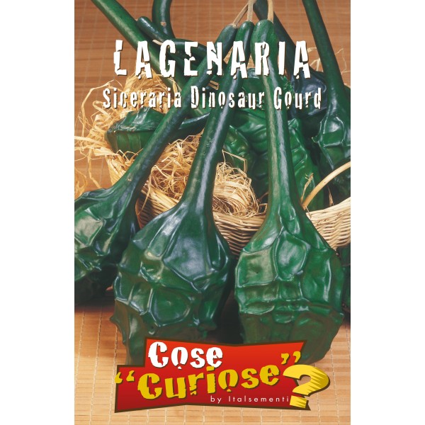 Lagenaria siceraria cv. "dinosaur gourd" - zucca a bottiglia (1 confezione di semi)