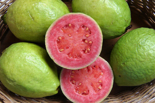 Psidium guajava cv. frutto verde rosa piriforme - guajava (100 semi)