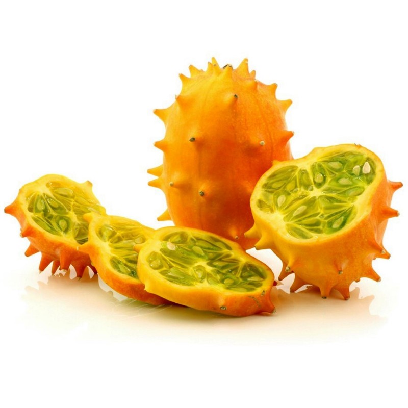 Cucumis metuliferus - kiwano (1 confezione di semi)