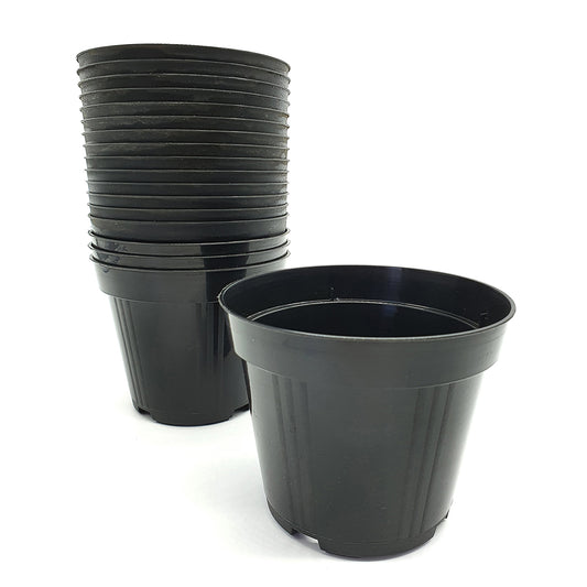 20 12cm BLACK pots - sowing and transplanting