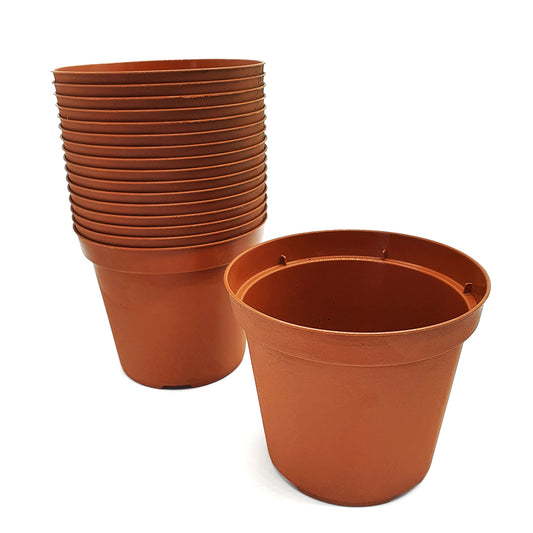 20 13 cm RED pots - sowing and transplanting