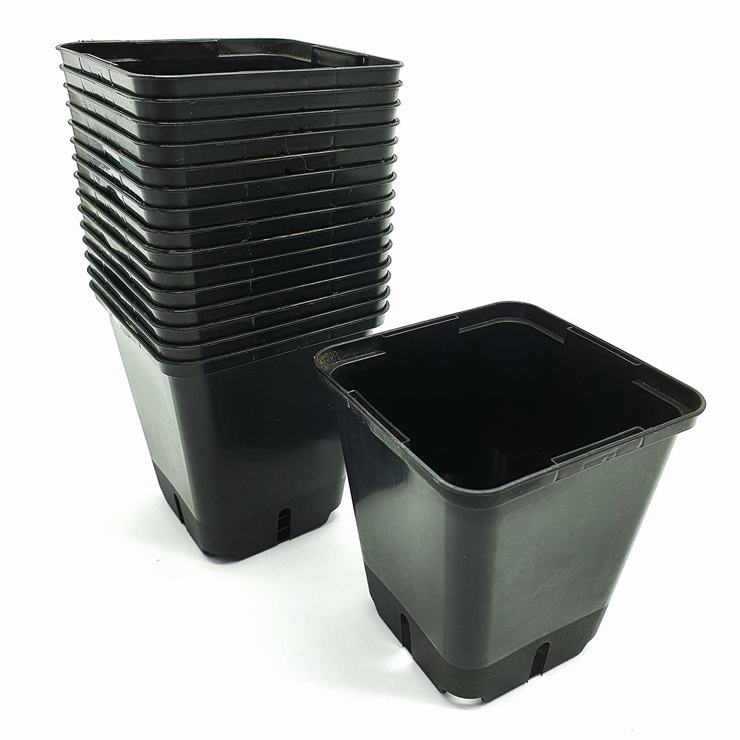 20 Square Vases (9x9x9.5cm)