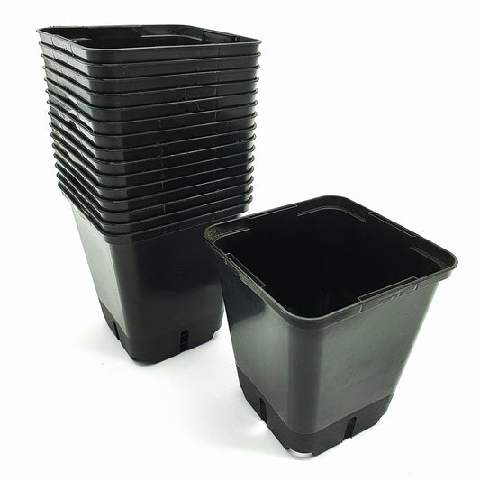 20 Square Vases (9x9x9.5cm)