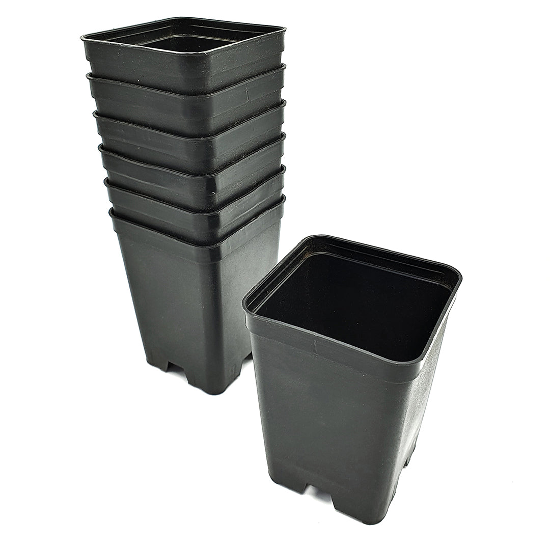 30 square pots (7x7x10 cm) for sowing and cutting