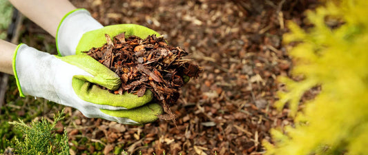 Cosa fare con i rami delle potature: idee utili e naturali