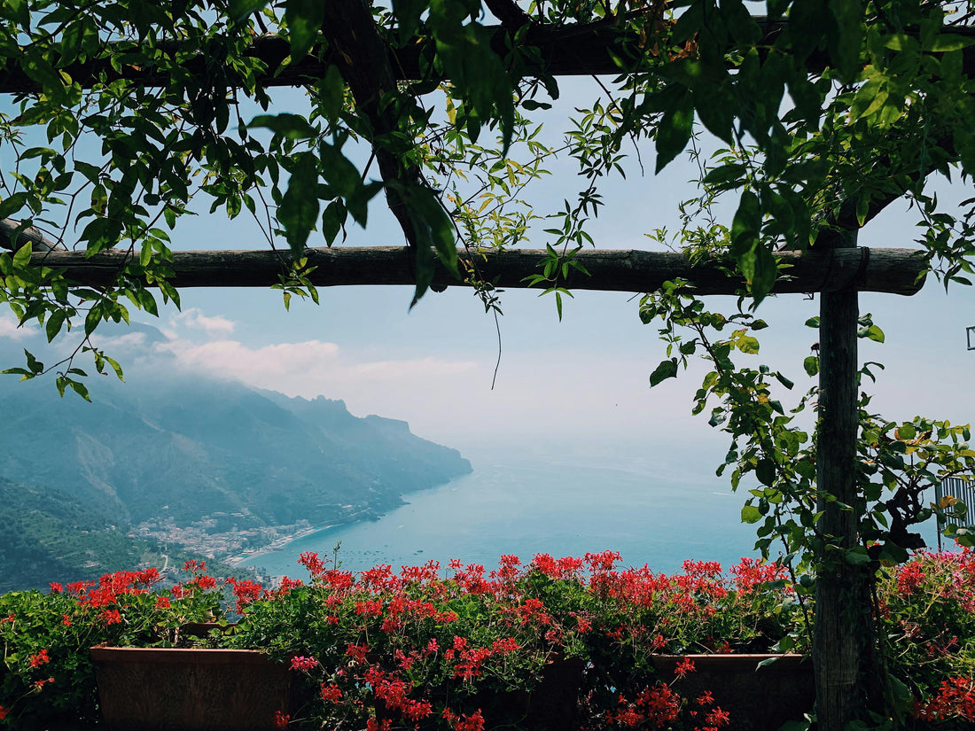 Piante mediterranee che fioriscono ad aprile: le migliori da scegliere per il giardino