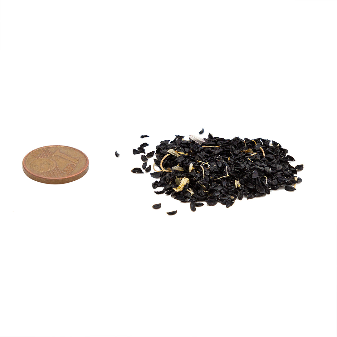 Allium schoenoprasum - chives (100 seeds)