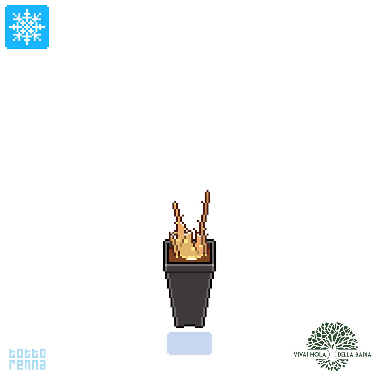 Moringa oleifera - moringa (Vaso quadro 9x9x10 cm)