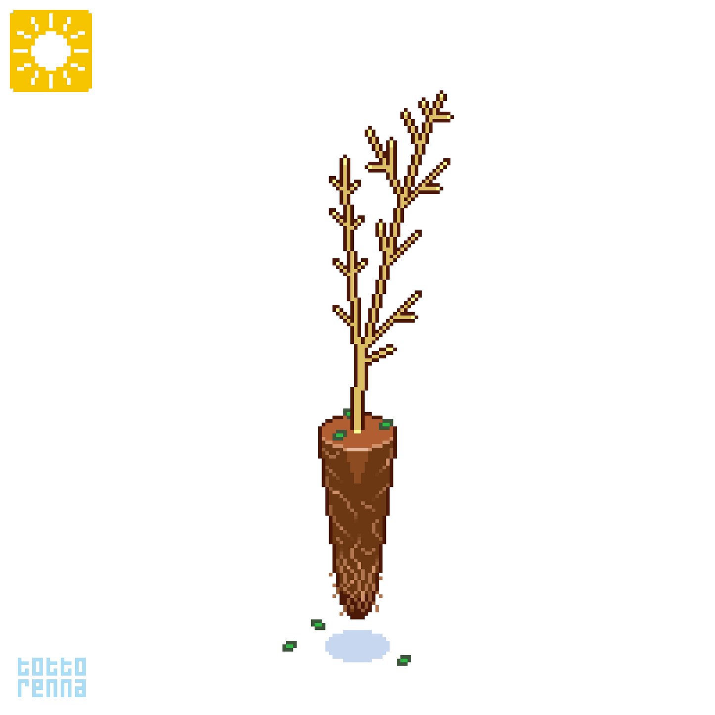 Wisteria sinensis - glicine comune (Alveolo Forestale)