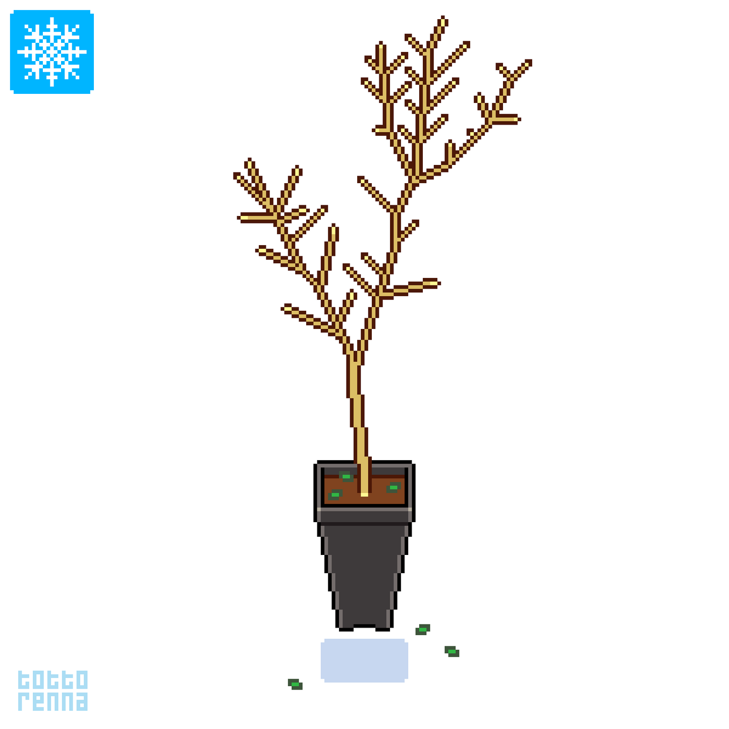 Magnolia susan (Square vase 9x9x20 cm)
