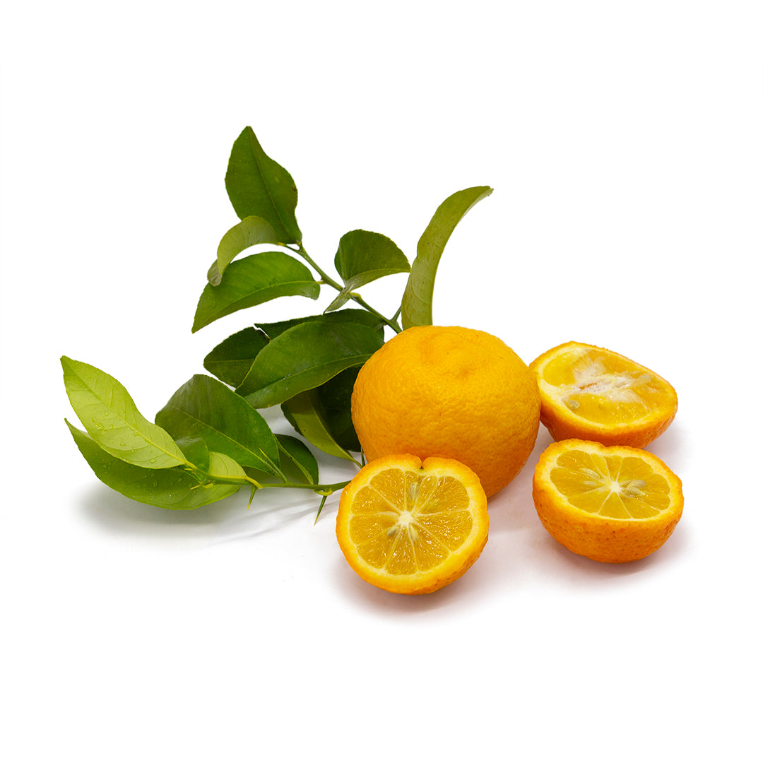Citrus aurantium - bitter orange (Fitocella)