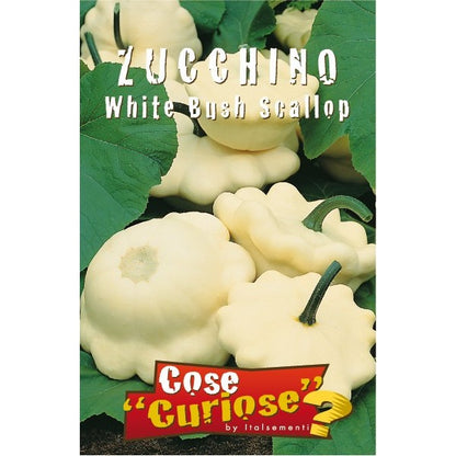 Cucurbita pepo cv. "white bush scallop" - zucca bianca (1 confezione)