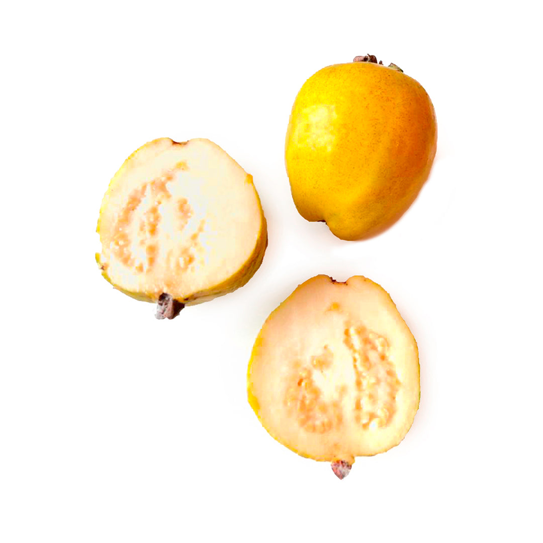 Psidium guajava cv. white fruit (yellow skin) - guajava (20 seeds)