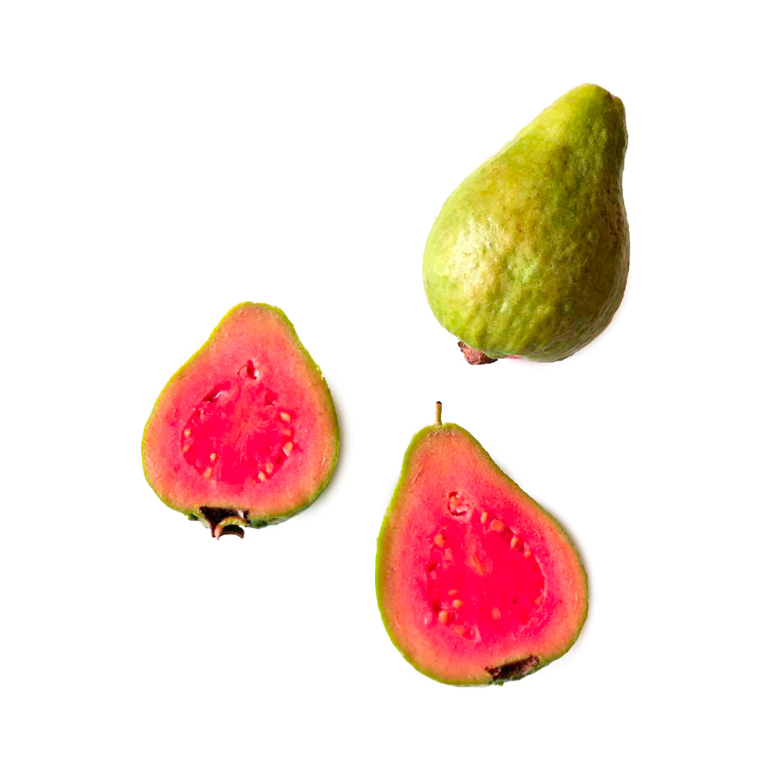 Psidium guajava cv. piriforme buccia verde polpa rosa- guajava (Alveolo forestale)