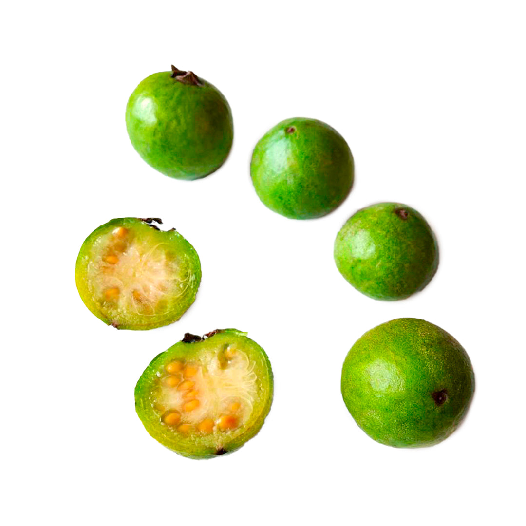 Psidium cattleianum VERDE - guava melone (Alveolo forestale)