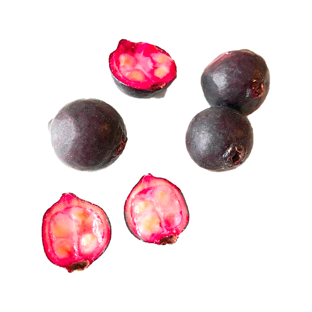 10x Psidium cattleianum ROSSO - guava fragola (Offerta 10 Alveoli forestali)