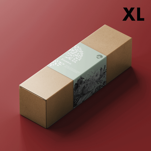 Esotico XL - Box Natale - Piante Esotiche e Tropicali