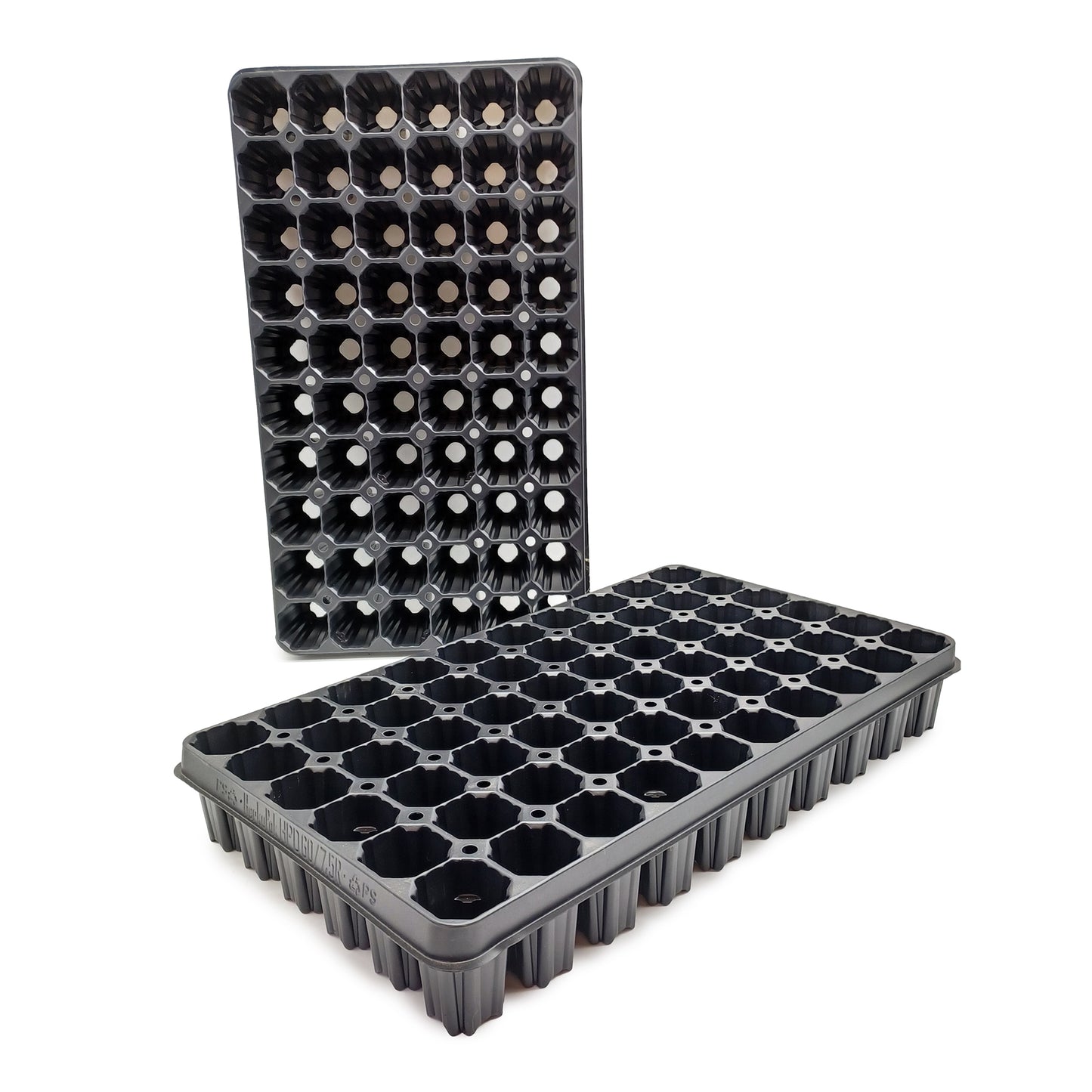 60-hole honeycomb seed tray - sowing and cutting