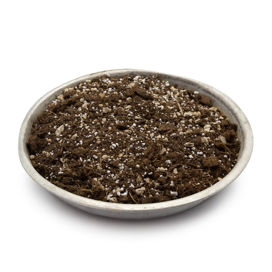 Soil for Caudiciforms PEAT, PUMICE AND PERLITE fertilized (our mix) (10 liters)