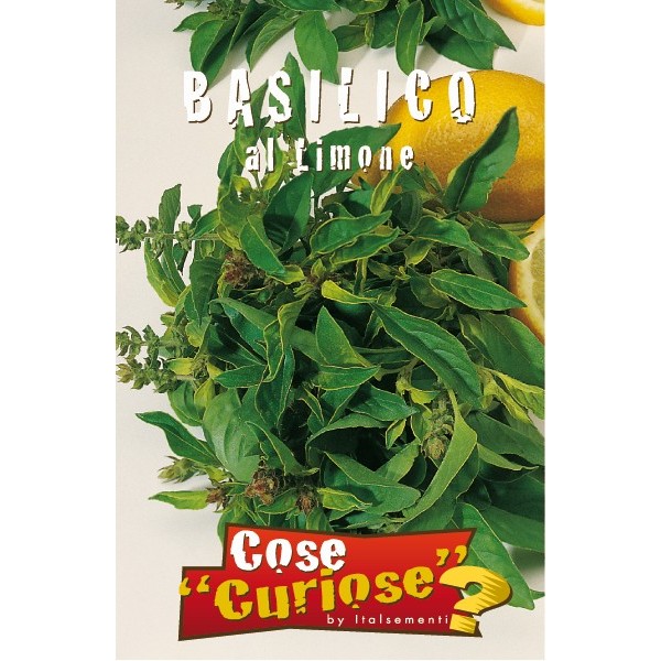 Ocimum basilicum limone - basilico al limone (1 confezione di semi)