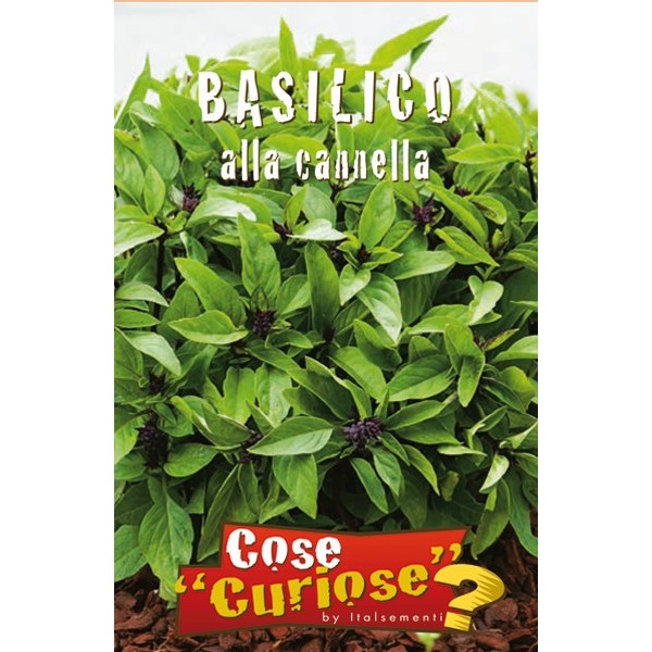 Ocimum basilicum cannella - basilico alla cannella (1 confezione di semi)