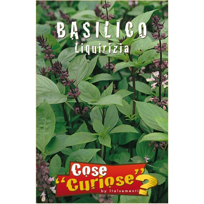 Ocimum basilicum liquirizia - basilico alla liquirizia (1 confezione di semi)