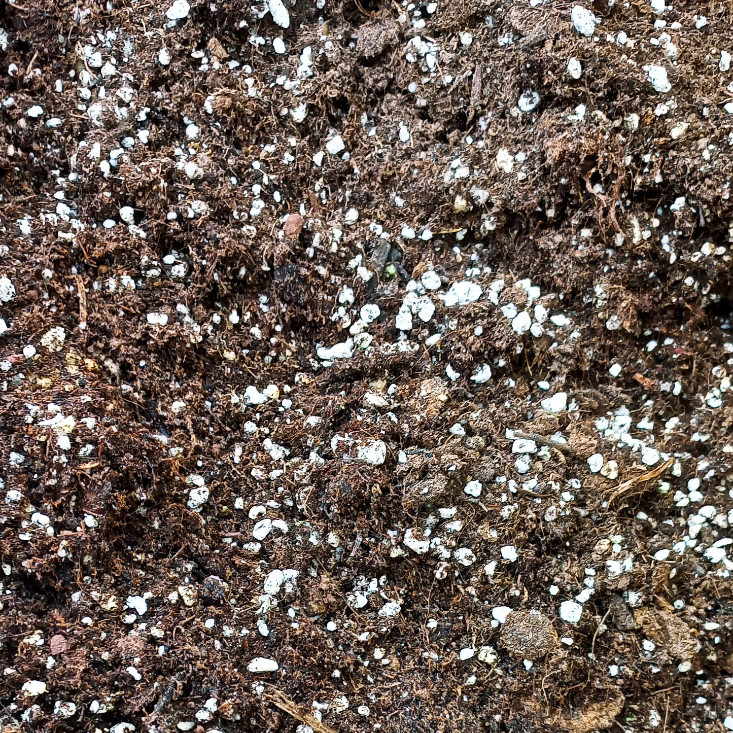 Light peat and perlite fertilized soil (10 litres)