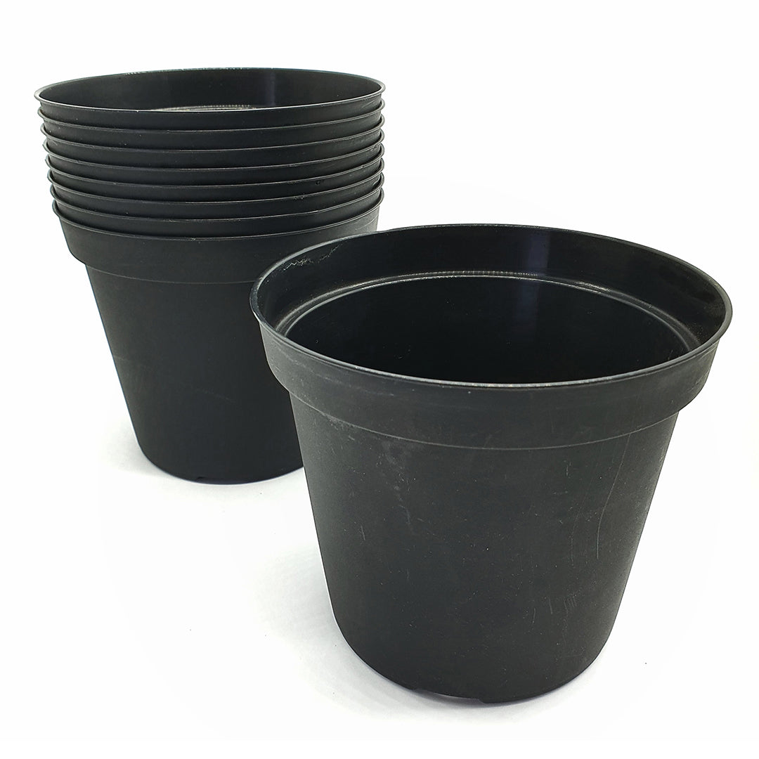 20 15 cm BLACK pots - sowing and transplanting