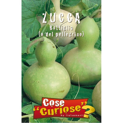 Cucurbita pepo - Zucca a bottiglia o del pellegrino (1 confezione di semi)